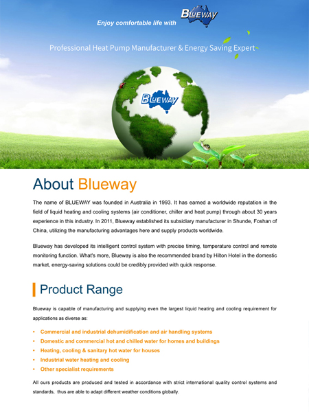 Blueway Companyn esittely